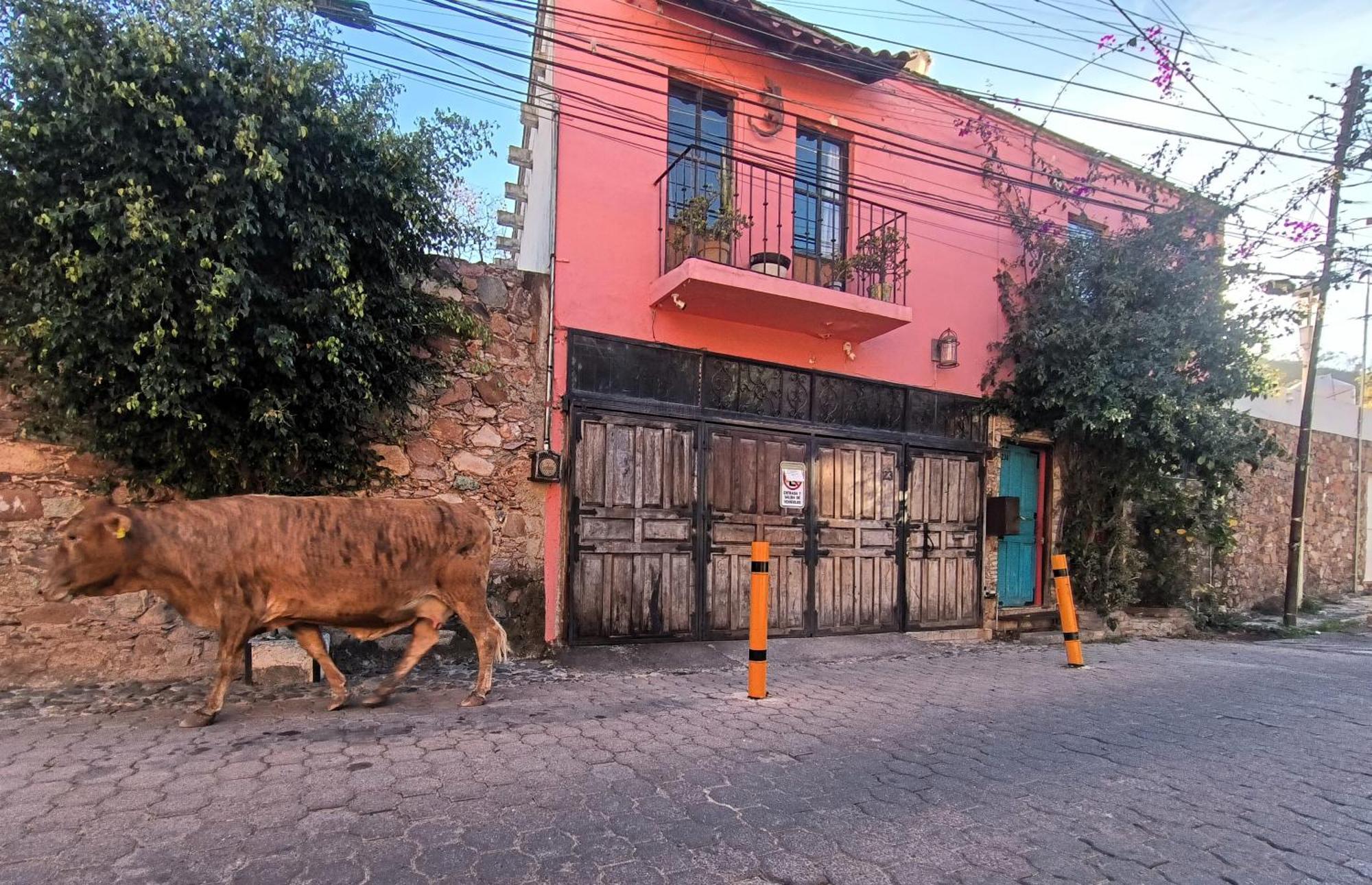 El Refugio de San Matías Aparthotel Guanajuato Exterior foto